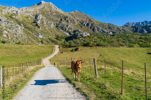Landscape of the Somiedo natural park in Asturias. Route from Valle de Lago to Lago del Valle.  photo
