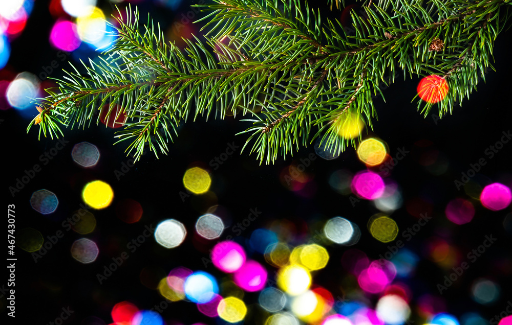 Spruce branch on colored lights on blurred bacground. Christmas or New Year background image