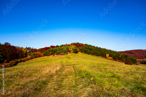 The meadow on the hill in the background is a forest with bright autumn colors