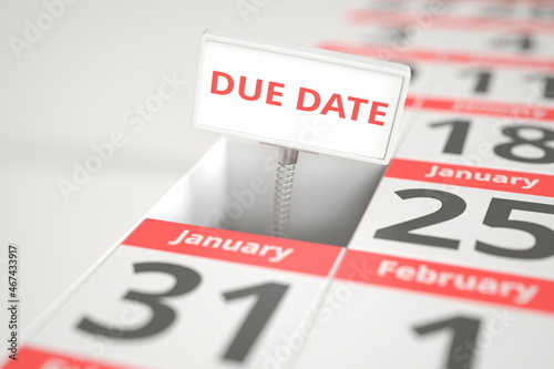 DUE DATE sign on January 24 in a calendar, 3d rendering