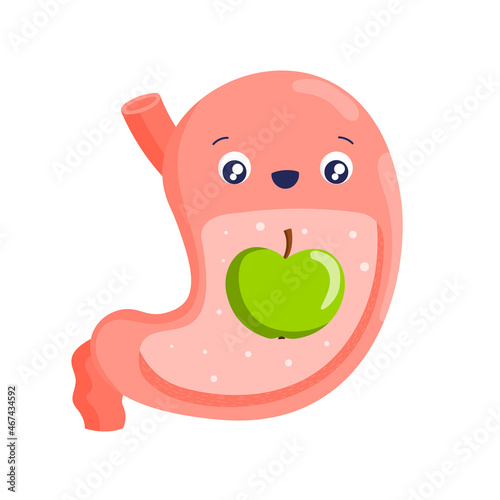Stomach. Healthy stomach and proper nutrition. Cartoon internal organs. Diet, fruits, vegetables. Stock vector illustration isolated on white background.