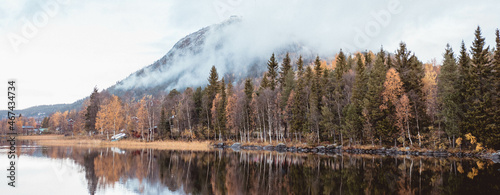reflection of trees in the lake with foggy mountain in the back 