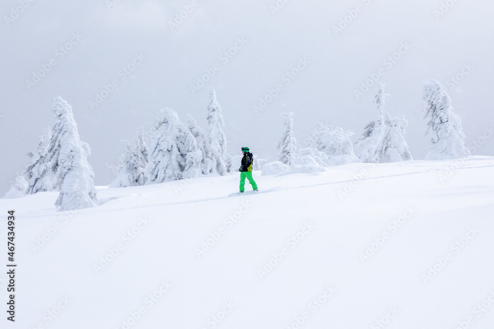 Snowboarder ride through the wild forest on a beautiful cold winter day. Landscape of high mountains with snow and tree. Wallpaper background. Location place Carpathian, Ukraine, Europe