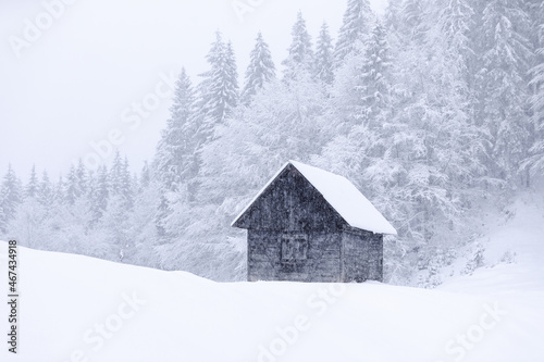 Old wooden forester's house on the lawn covered with snow. Landscape on winter day. Snowdrifts. Christmas wonderland. High mountain. Snowy wallpaper background. Nature scenery. © Vitalii_Mamchuk