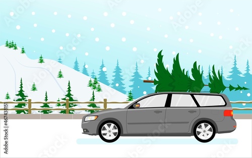 The movement of the car on the road outside the city in the woods. Transportation of goods of the Christmas tree.