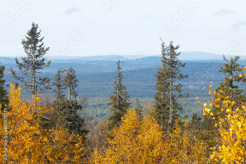 A view to colorful taiga forests and fells in Salla National Park, Northern Finland on a sunny autumn day. 