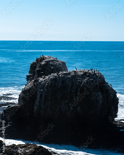 Punta de Lobos emblematic rocks full of native fauna