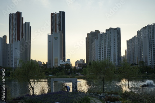 김포 호수공원에는 높은 아파트가 보이는 풍경입니다.