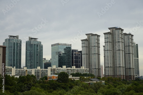 공원 숲과 도시의 고층 아파트빌딩이 있는 풍경입니다.