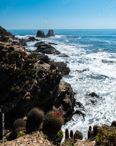 Vertical view of Punta de Lobos with its natural rocks in the background full of native fauna.