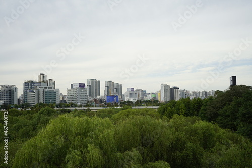 공원 숲과 도시의 고층 아파트빌딩이 있는 풍경입니다.