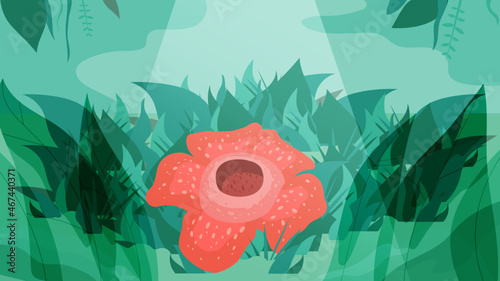 beauty indonesian rafflesia flower on a forest background vector design photo