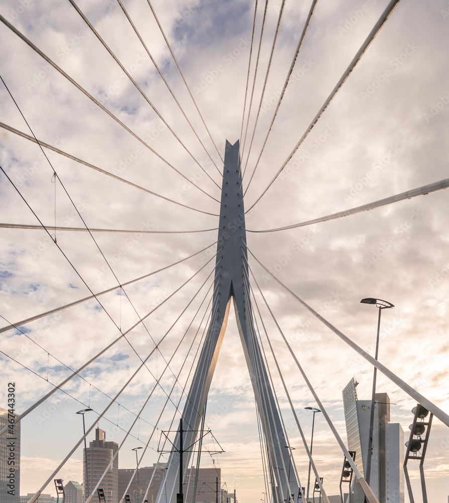 Detail of the Erasmus bridge in the city of Rotterdam, Netherlands
