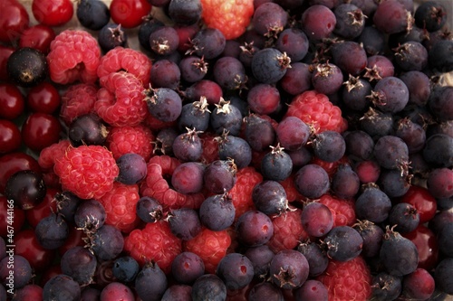 raspberries and shadberry