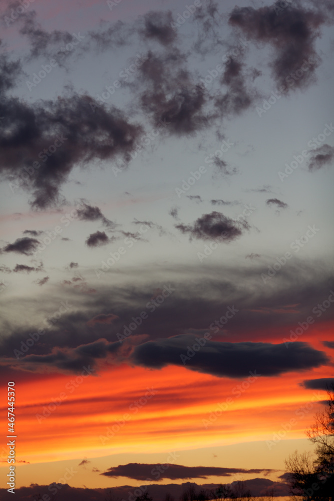 Cloud in shape of angel on sunsetting sky