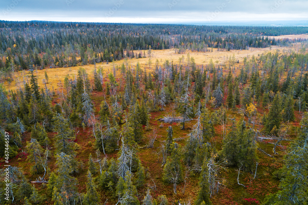 An aerial of famous hanging bogs in autumnal Riisitunturi National Park in the middle of taiga forests during a dull and gloomy fall day.	