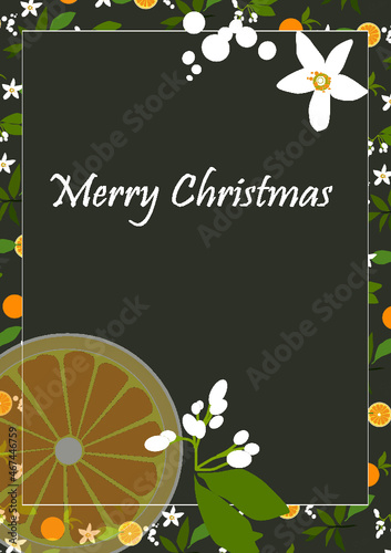 Merry Christmas
апельсины и цветы
oranges and flowers