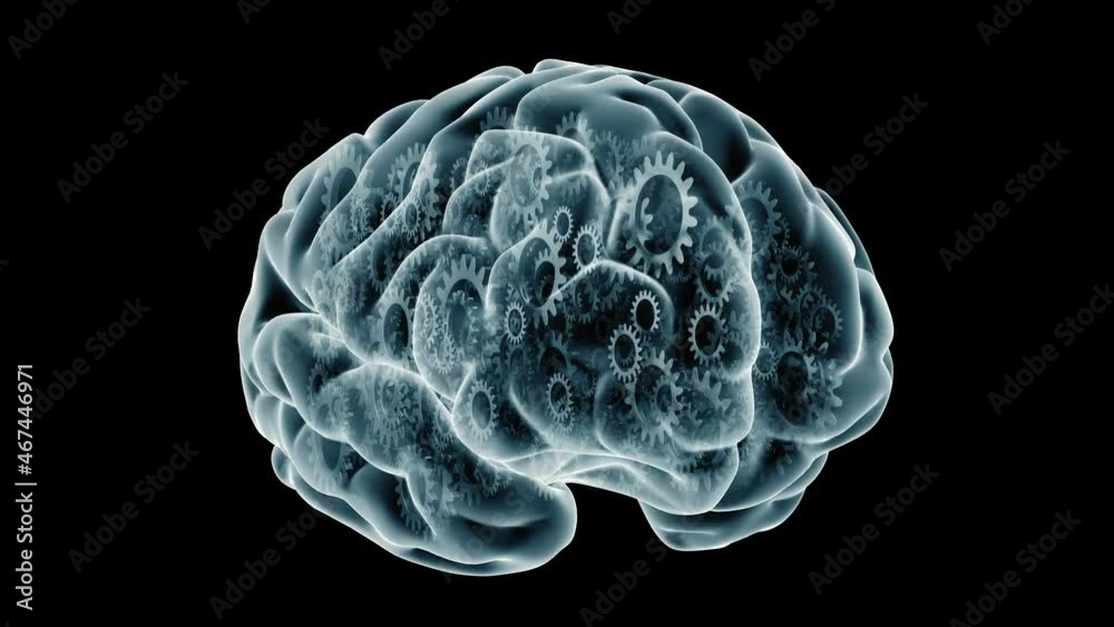 Clockwork Brain with camera move.
X ray style brain filled with turning gears. Camera moves around it then stops.