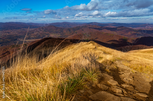 Fototapeta Naklejka Na Ścianę i Meble -  Amazing colours of autumn in Bieszczady mountains (Podkarpackie, Poland). Hiking trail from Połonina Wetlińska to Smerek.   