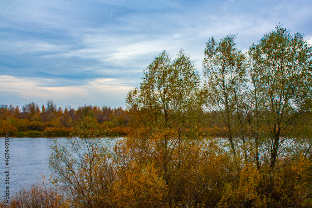 Yellow vegetation on the river bank on a cloudy day. Autumn trees and bushes. Autumn landscape of the two banks of the river. Yellow vegetation on the river bank on a cloudy day. Autumn trees and bushes. Autumn landscape of the two banks of the river.