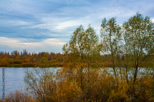 Yellow vegetation on the river bank on a cloudy day. Autumn trees and bushes. Autumn landscape of the two banks of the river.