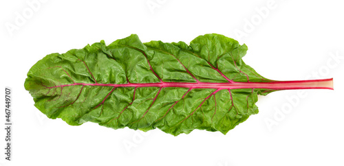 Top view of rhubarb isolated on white background photo