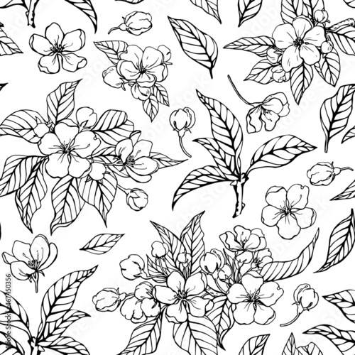 Vector seamless pattern blooming branches of apples black and white floral background. Hand drawn elements  illustration for design packaging  textile  wallpaper  fabric