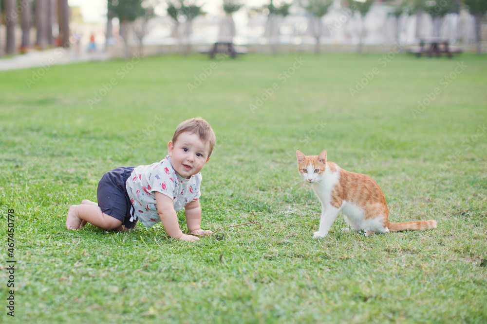 Baby child and ginger cat walking Baby child and ginger cat walking