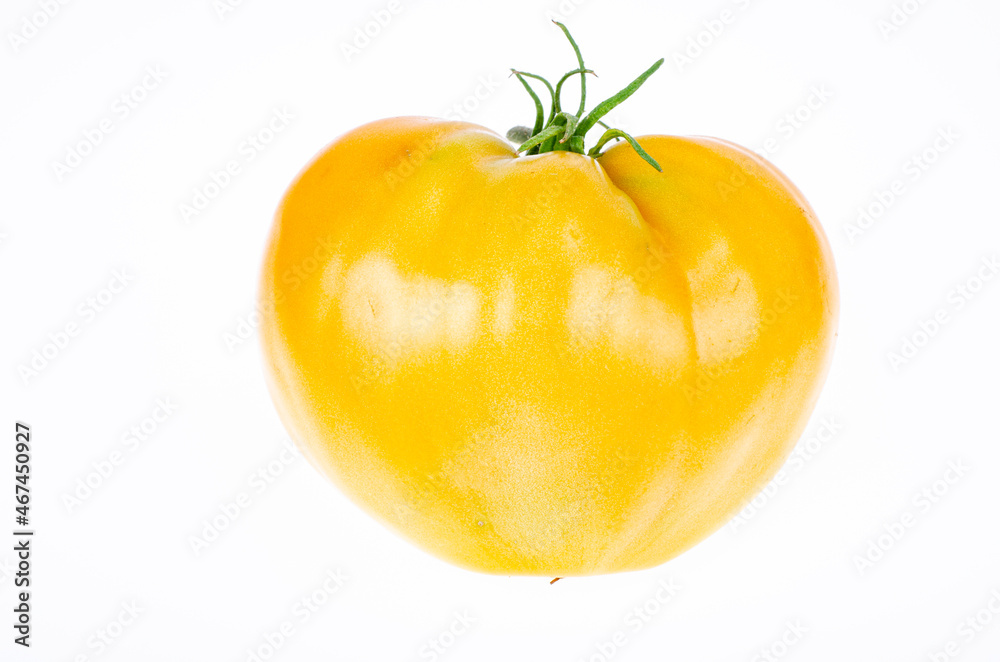 Fresh yellow tomatoes isolated on white background. Studio Photo.