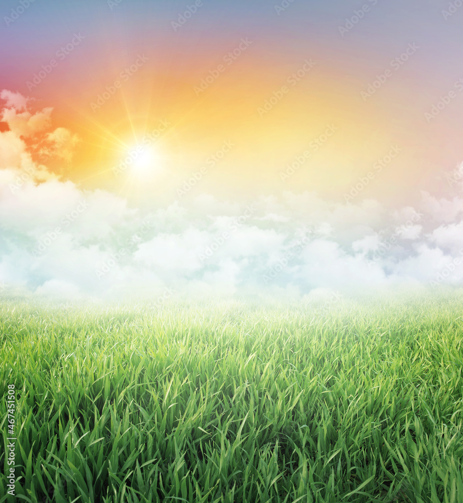 Meadow and green field under a colorful sky, low white clouds and the rising sun