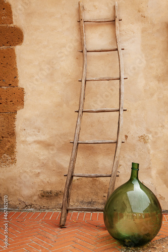 Canvas Print Ballon and ladder