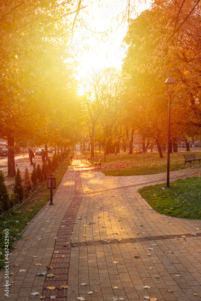 City park in Vranje captured in autumn morning.