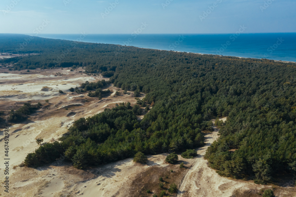 Panoramic aerial view of the golden sand dunes of the Curonian Spit. Baltic Sea coastline, forest belt.