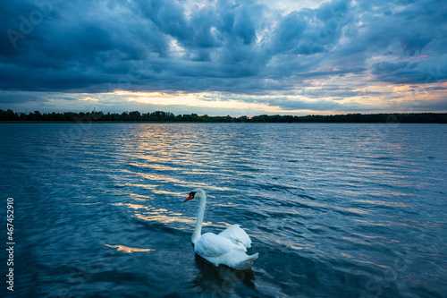 Fototapeta Naklejka Na Ścianę i Meble -  Colorful clouds during the sunset on the lake.