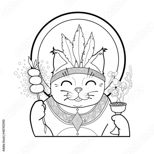 gato chamán gracioso dibujo con líneas