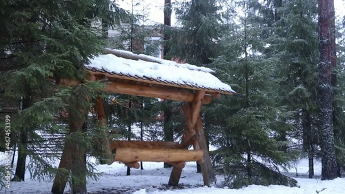 Empty wooden swing in park. Snow falling on evergreen sprucetree background photo