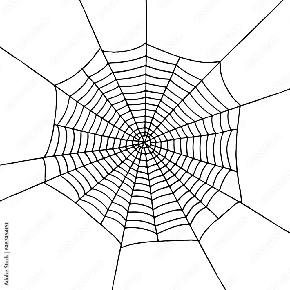 Obraz premium Hand-drawn cobweb background