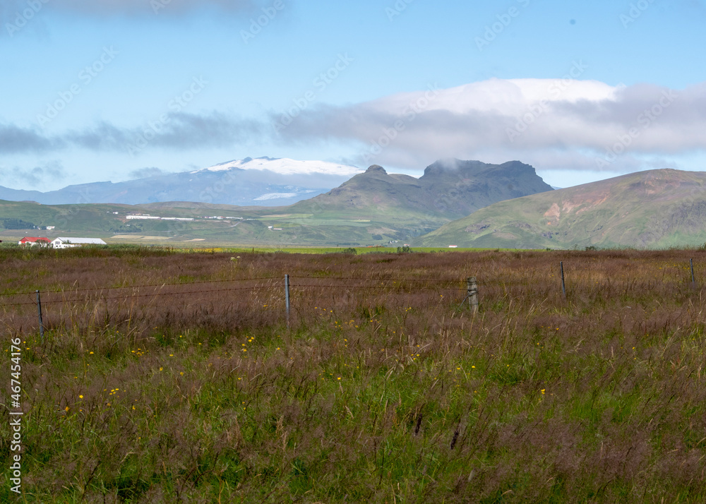 Fototapeta premium Grassy landscape with mountains water and meadow near the Black Sand Beach Vik South Iceland