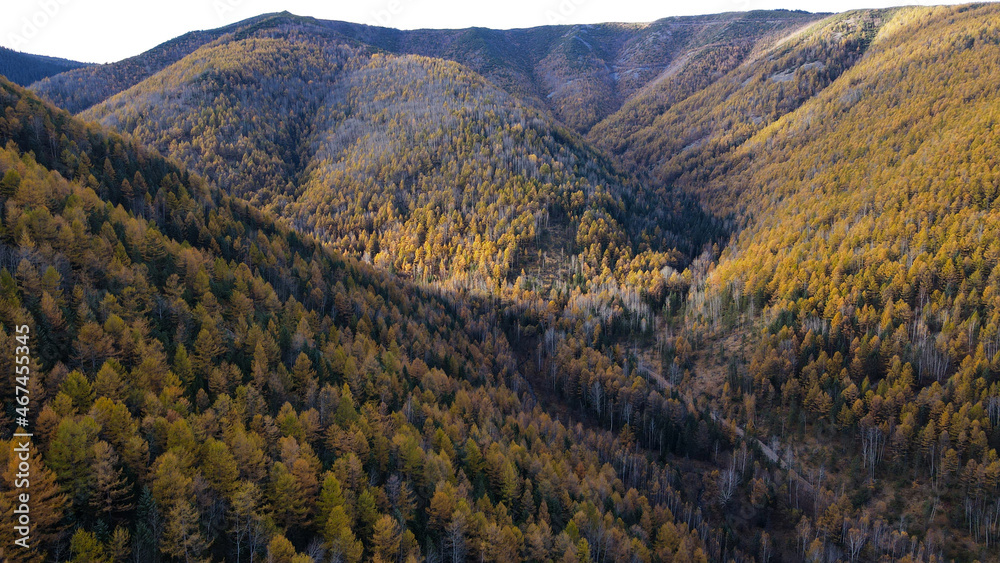 Aerial view of Mountain Ridge Peak, Yellow Forest, Road, Sun Rase in Sunrise Through The Clouds Aerial view of Mountain Ridge Peak, Yellow Forest, Road, Sun Rase in Sunrise Through The Clouds
