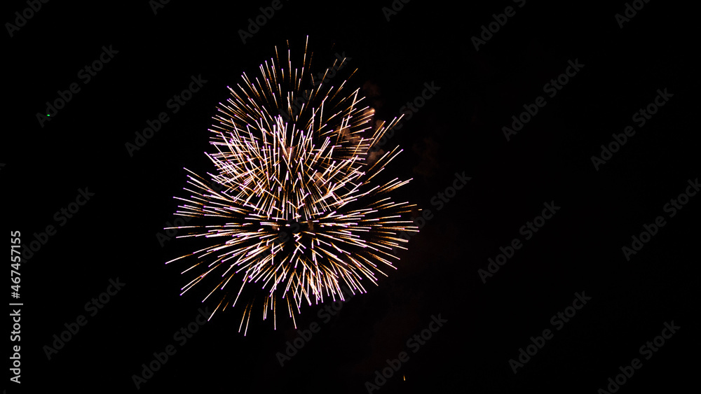 fireworks in the sky