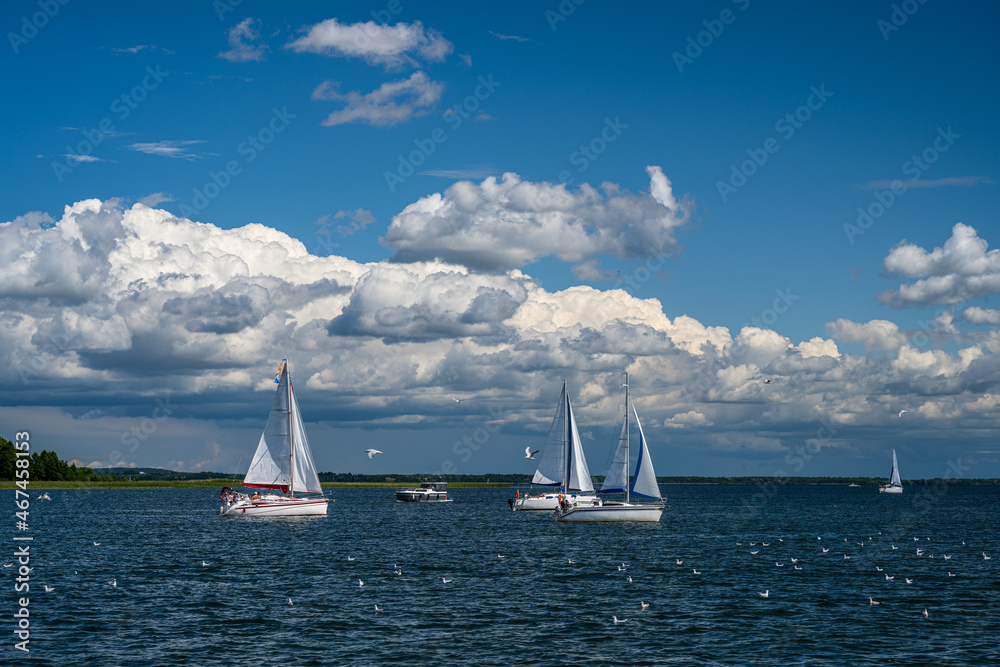 Sailboats on the lake on a sunny day - obrazy, fototapety, plakaty 