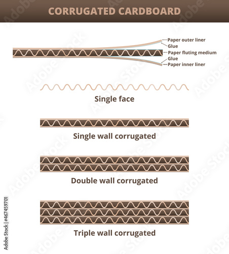 Vector scheme of corrugated cardboard isolated on white. Composition of corrugated cardboard – paper outer liner, paper fluting medium, paper outer liner, glue. Single, double, triple wall corrugated. photo