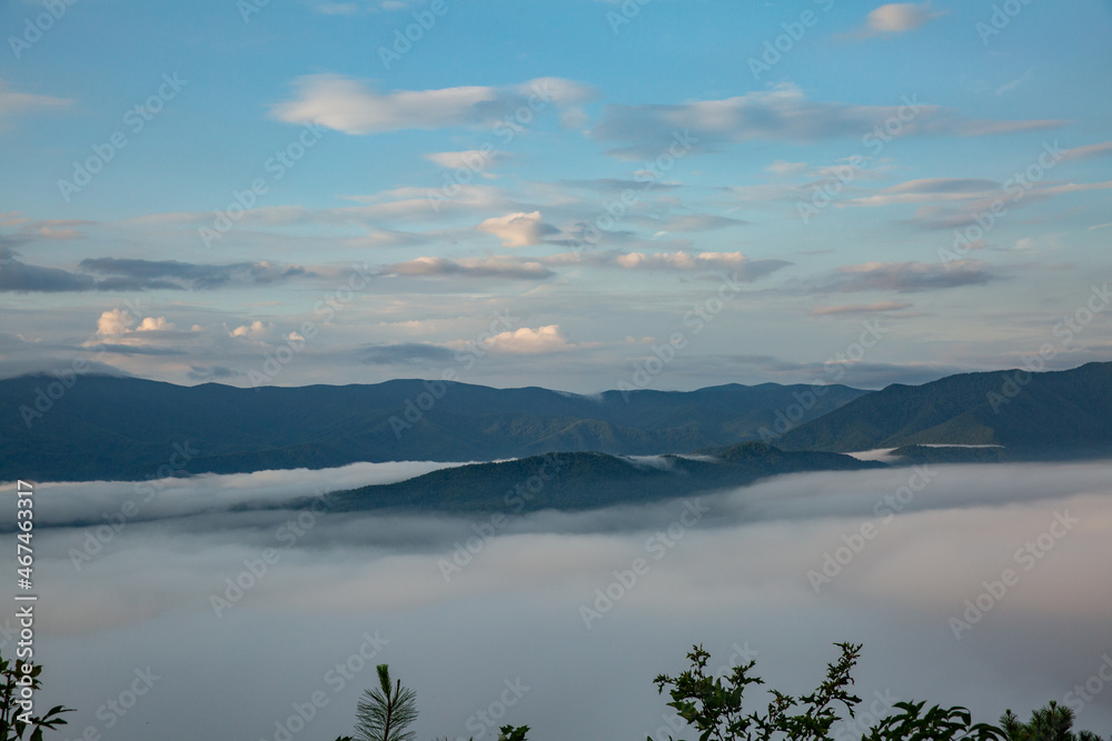 Smoky Mountains
Foothills Parkway