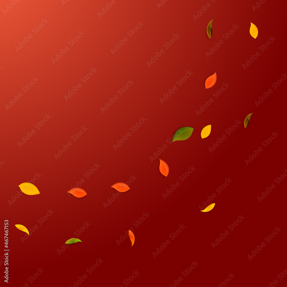 Falling autumn leaves. Red, yellow, green, brown r Falling autumn leaves. Red, yellow, green, brown r