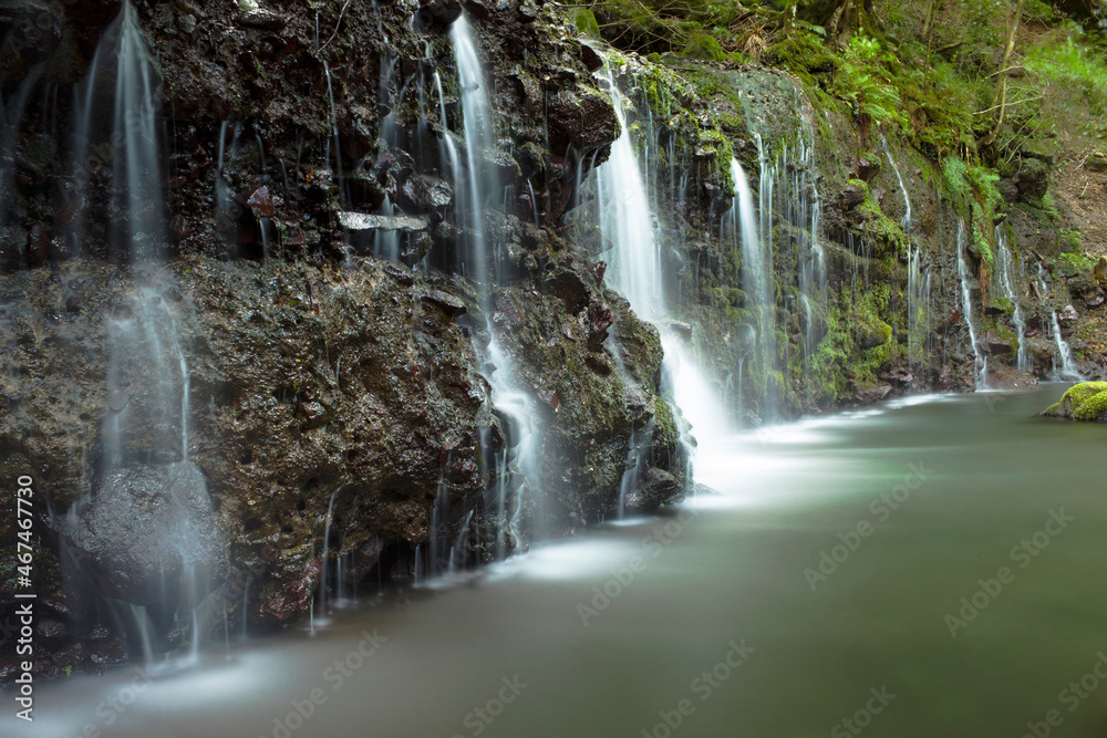 Obraz premium 千条の滝