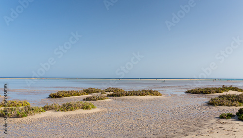 THe wonderful coast of Fuerteventura photo