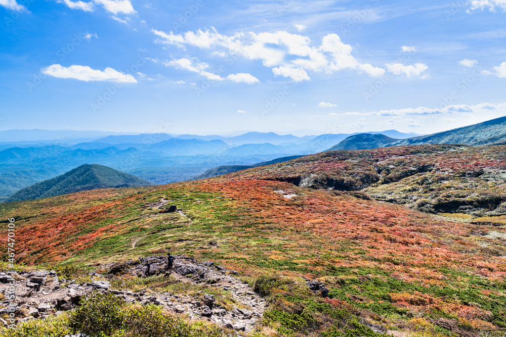 Fototapeta premium 栗駒山登山道紅葉で快晴の東栗駒コース