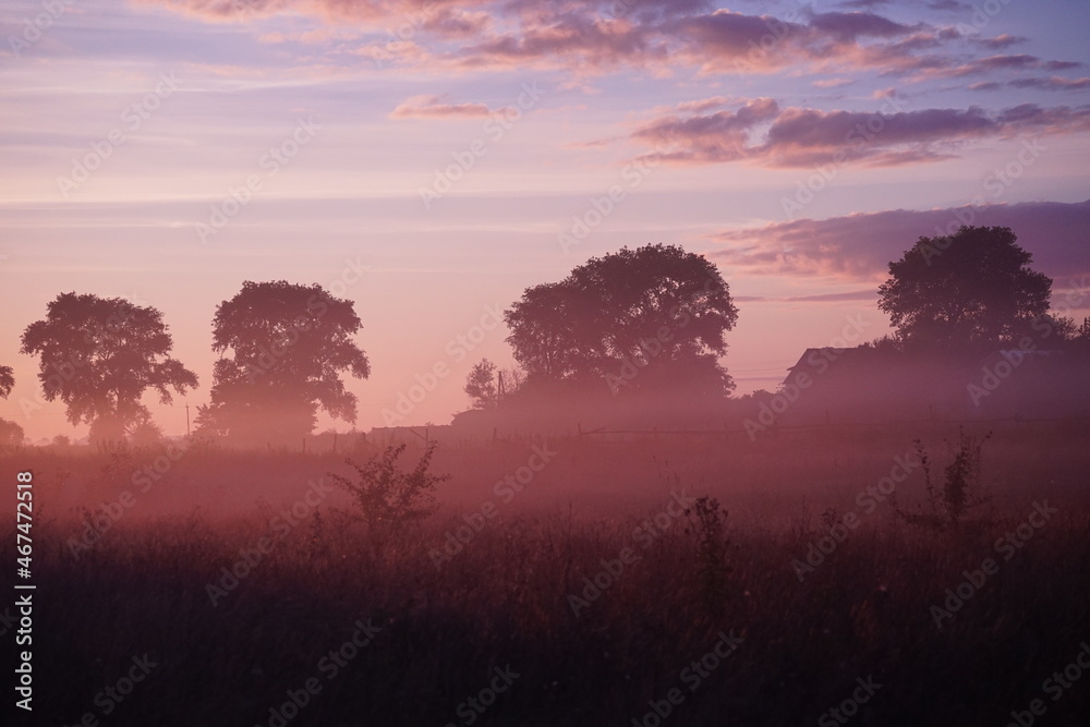 Fototapeta premium Sunrise over the field 