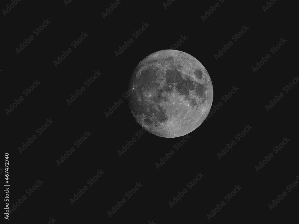 Fototapeta premium moon
