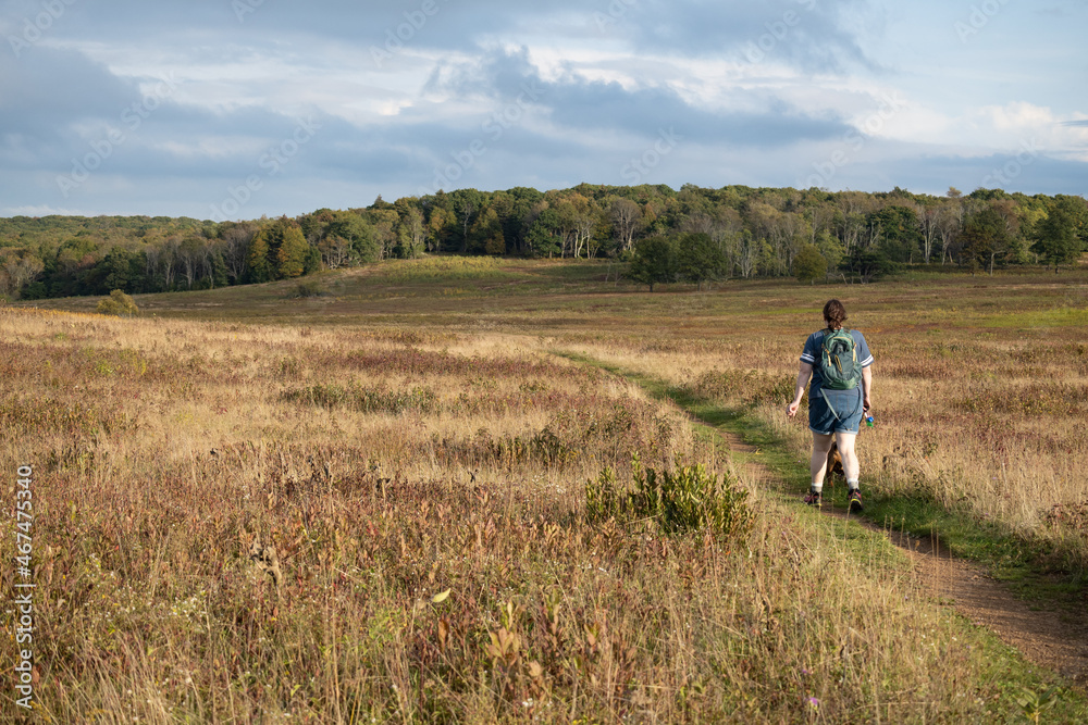 person walking in the field person walking in the field